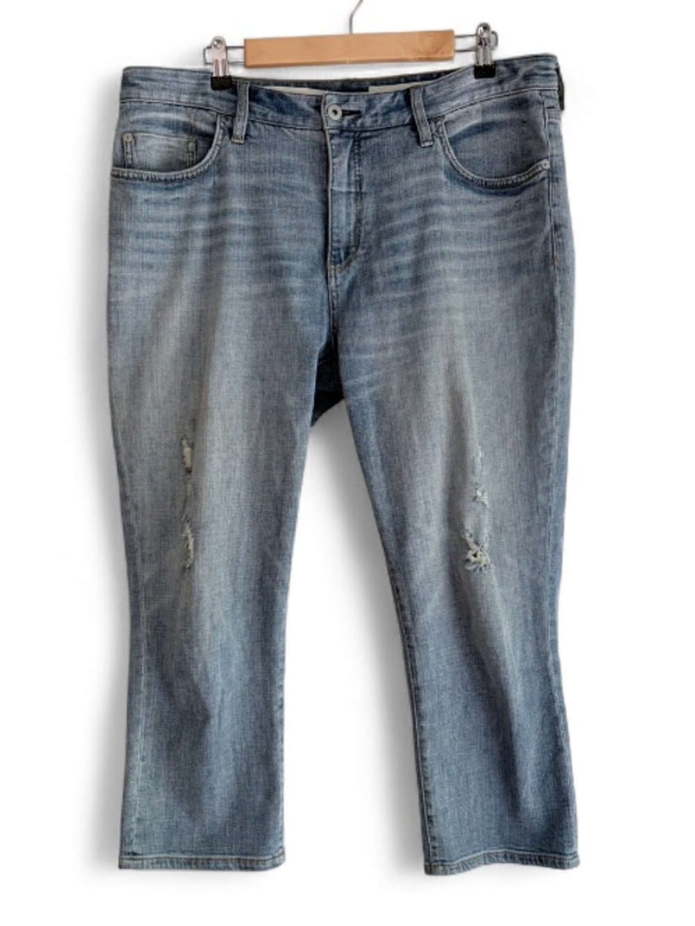 Pilcro Anthropologie Slim Boyfriend Distressed Cropped Jeans Size 32